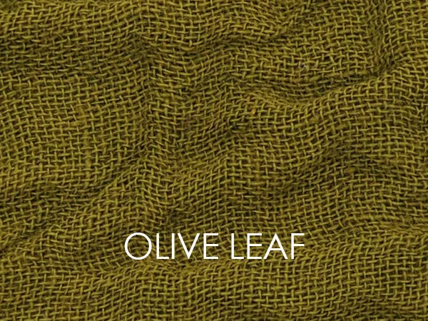 OLIVE LEAF